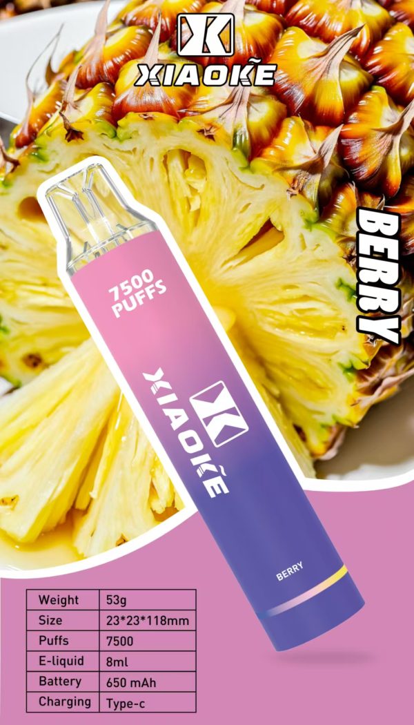 【XIAOKE 梟客】★拋棄式★ 一次性霧化商品 7500口 (可充電)：圖片 5