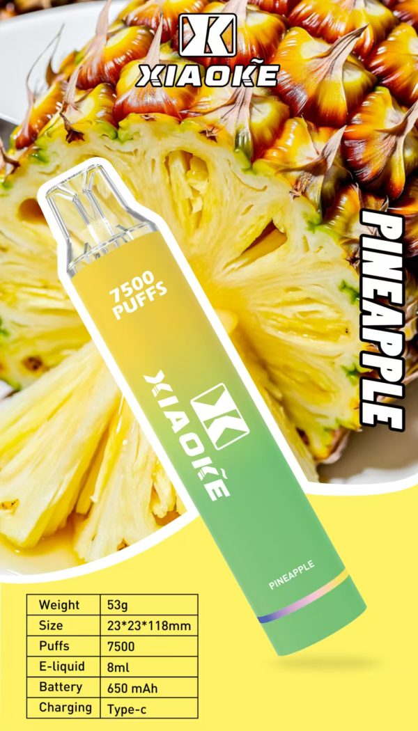 【XIAOKE 梟客】★拋棄式★ 一次性霧化商品 7500口 (可充電)：圖片 6