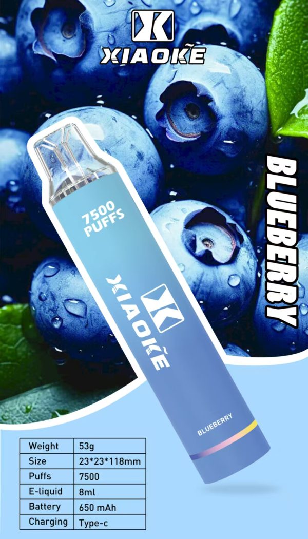 【XIAOKE 梟客】★拋棄式★ 一次性霧化商品 7500口 (可充電)：圖片 8